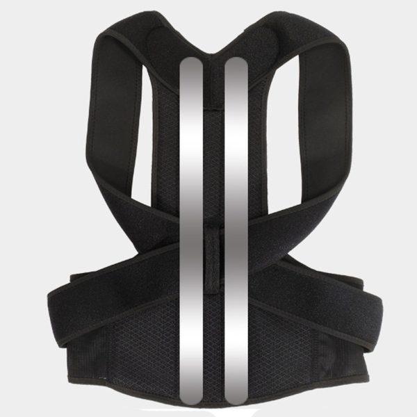 Posture Collector Belt